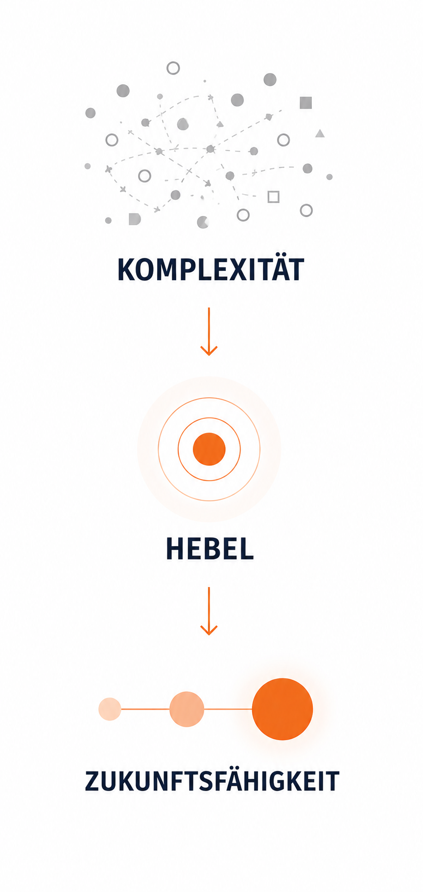 Komplexität – Hebel – Zukunftsfähigkeit